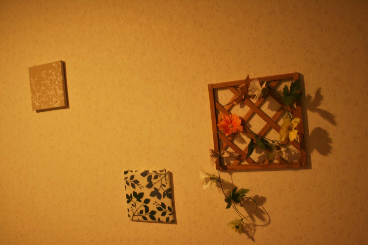 Auberge de jeunesse E-Joy à Fujikawaguchiko Extérieur photo